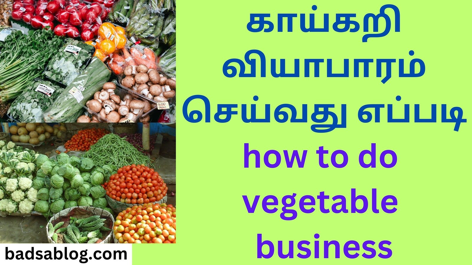 காய்கறி வியாபாரம் செய்வது எப்படி how to do vegetable business